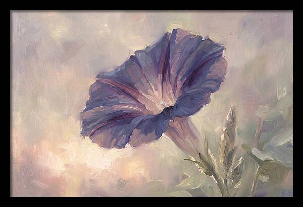 Morning Glory Opening At Dawn