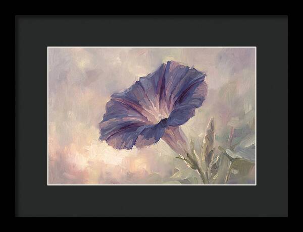 Morning Glory Opening At Dawn
