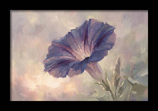 Morning Glory Opening At Dawn