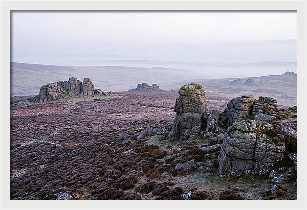 Morning Glow On Haytor Rocks