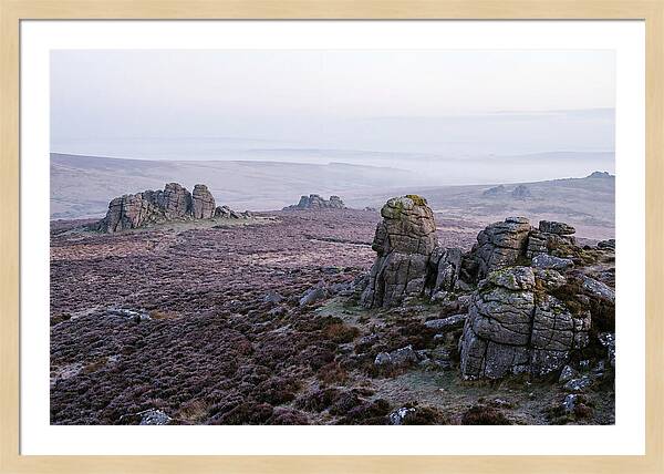 Morning Glow On Haytor Rocks