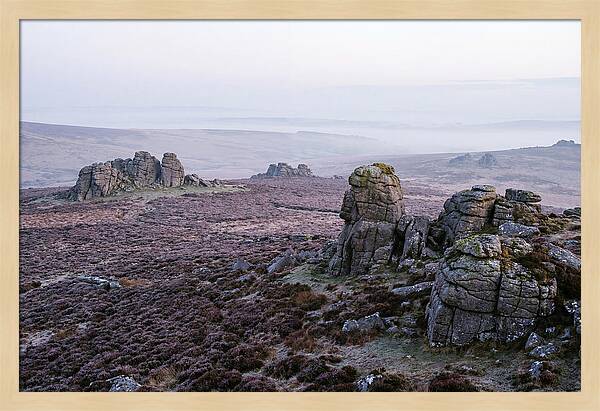 Morning Glow On Haytor Rocks