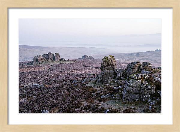 Morning Glow On Haytor Rocks