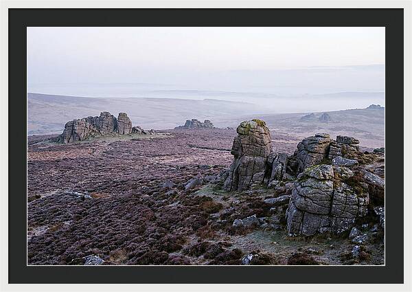 Morning Glow On Haytor Rocks