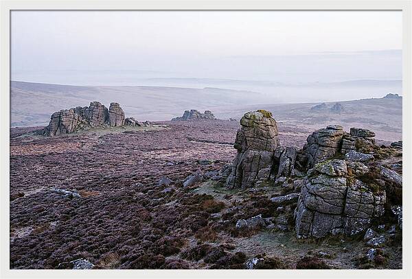 Morning Glow On Haytor Rocks