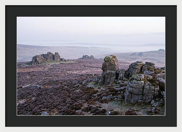Morning Glow On Haytor Rocks