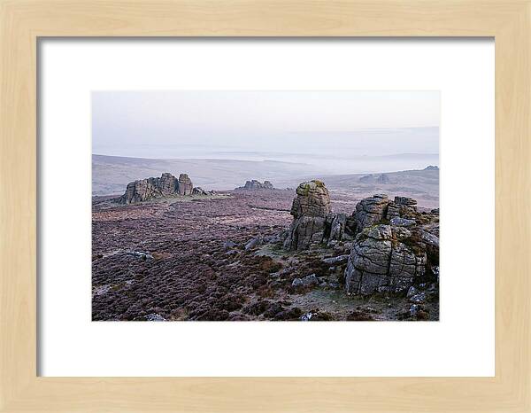 Morning Glow On Haytor Rocks
