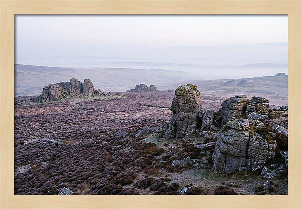 Morning Glow On Haytor Rocks