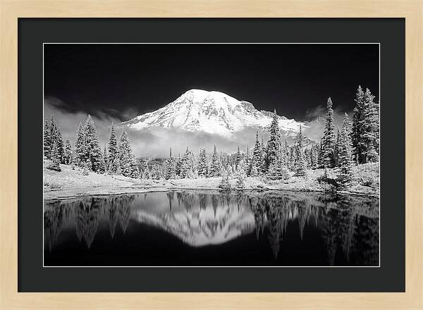 Morning Light Above Mount Rainier