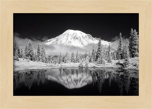 Morning Light Above Mount Rainier