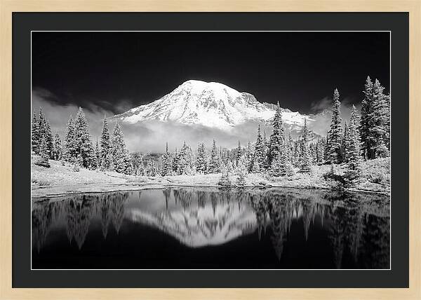 Morning Light Above Mount Rainier