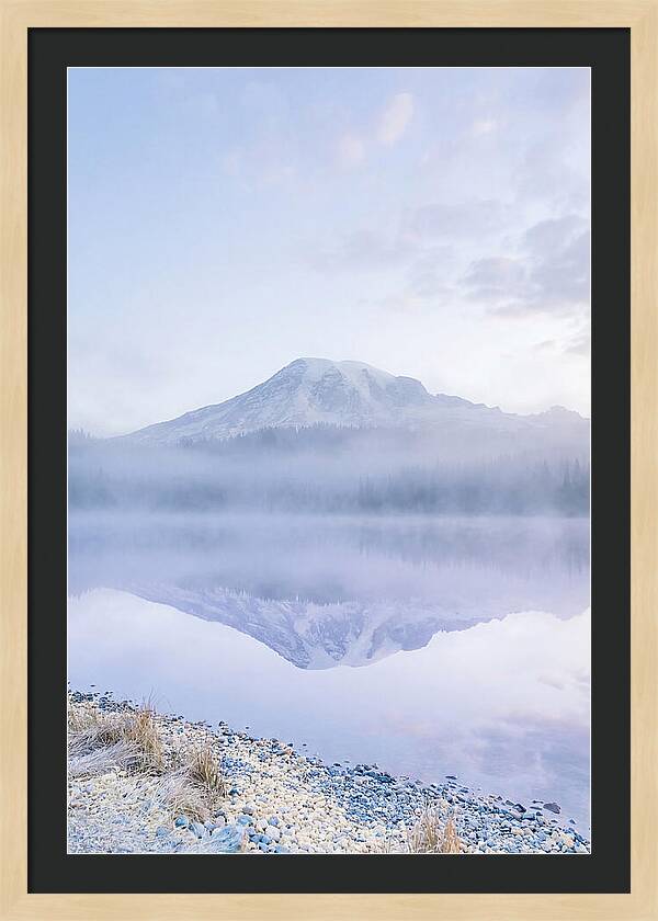 Morning Light At Mount Rainier