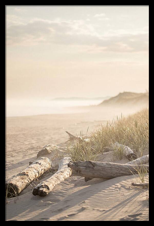 Morning Serenity At Indiana Dunes