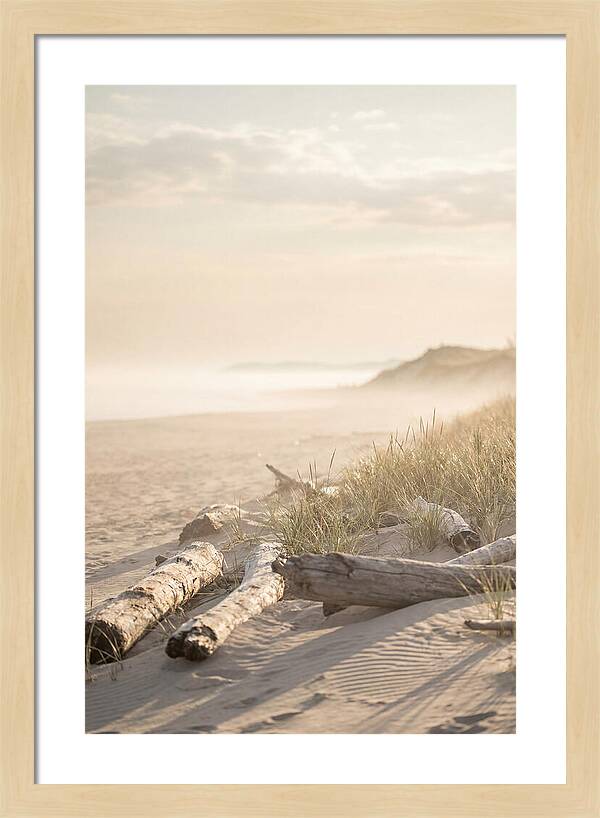Morning Serenity At Indiana Dunes