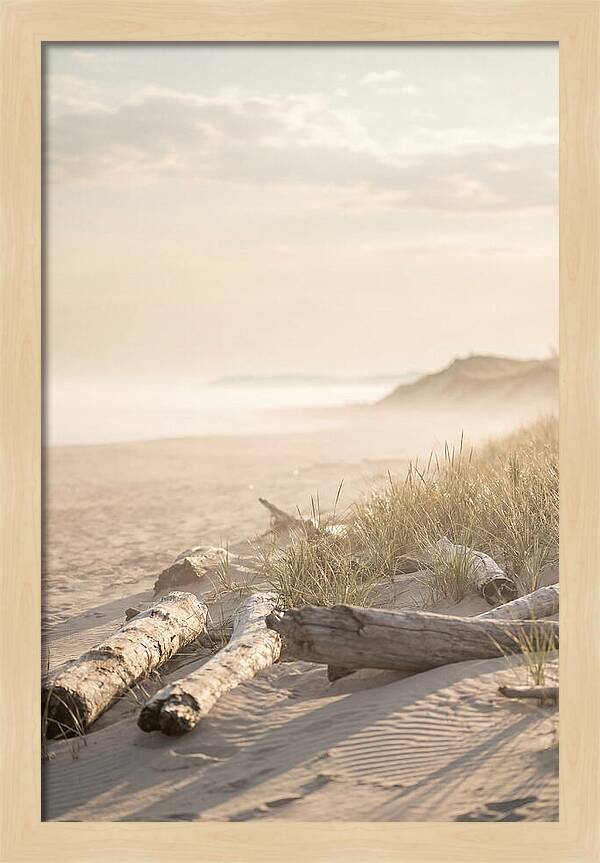 Morning Serenity At Indiana Dunes