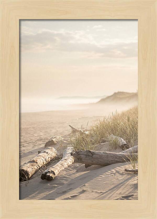 Morning Serenity At Indiana Dunes