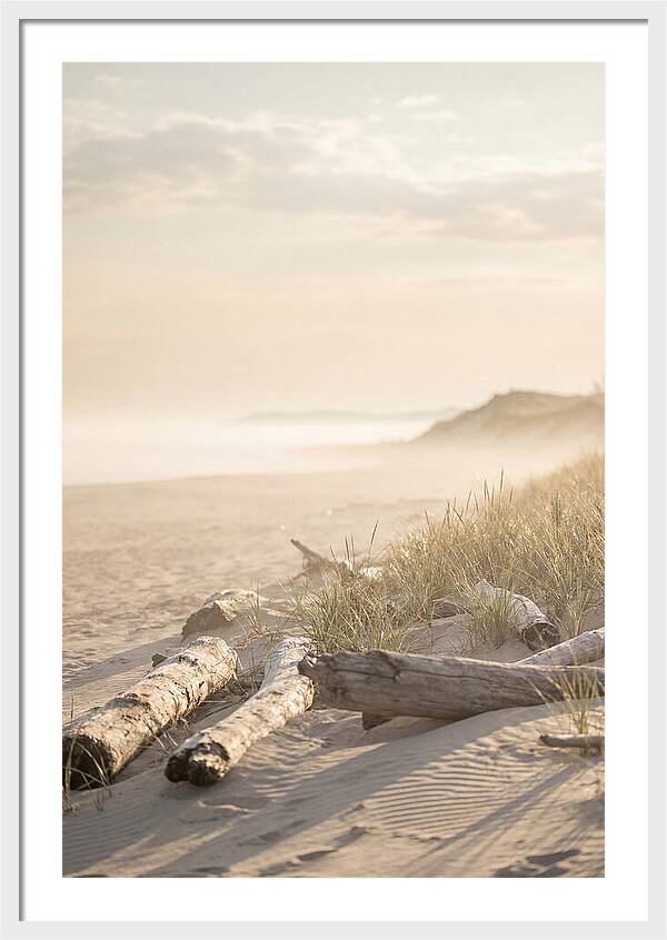 Morning Serenity At Indiana Dunes