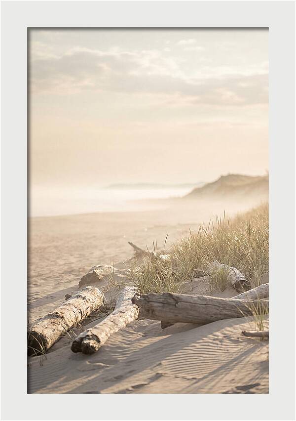 Morning Serenity At Indiana Dunes