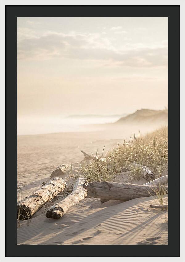 Morning Serenity At Indiana Dunes