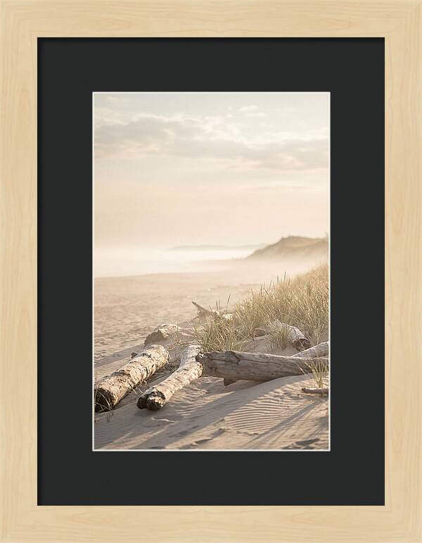 Morning Serenity At Indiana Dunes