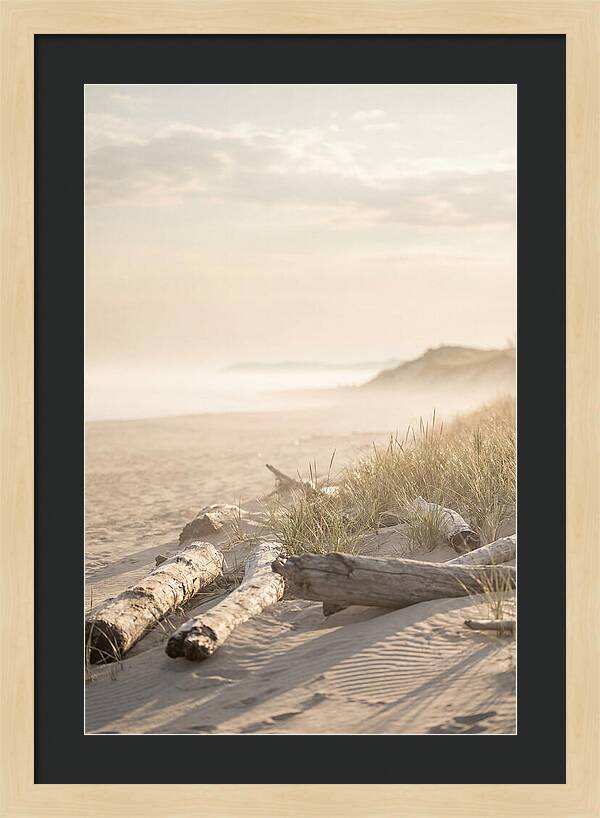 Morning Serenity At Indiana Dunes