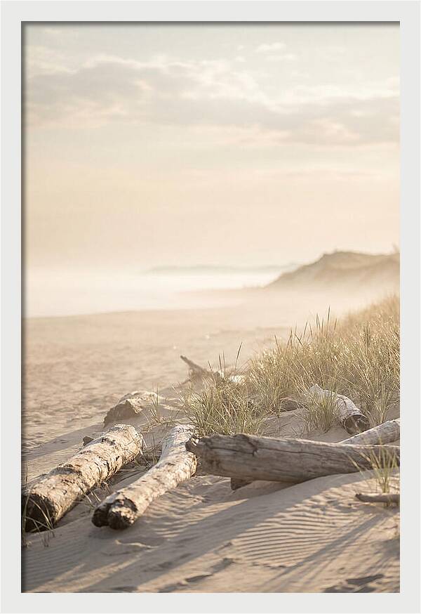 Morning Serenity At Indiana Dunes
