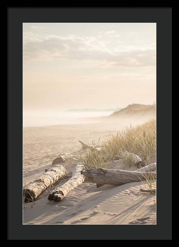 Morning Serenity At Indiana Dunes