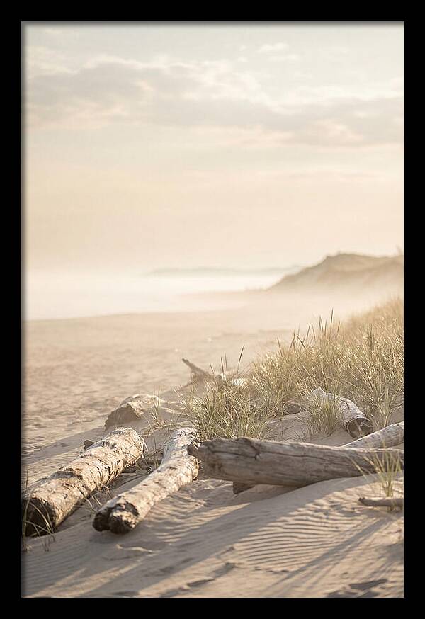 Morning Serenity At Indiana Dunes
