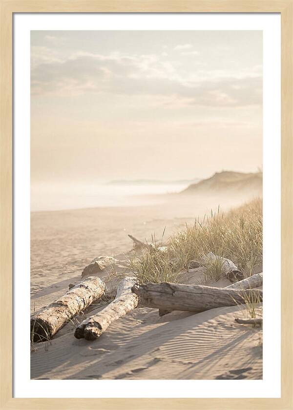 Morning Serenity At Indiana Dunes