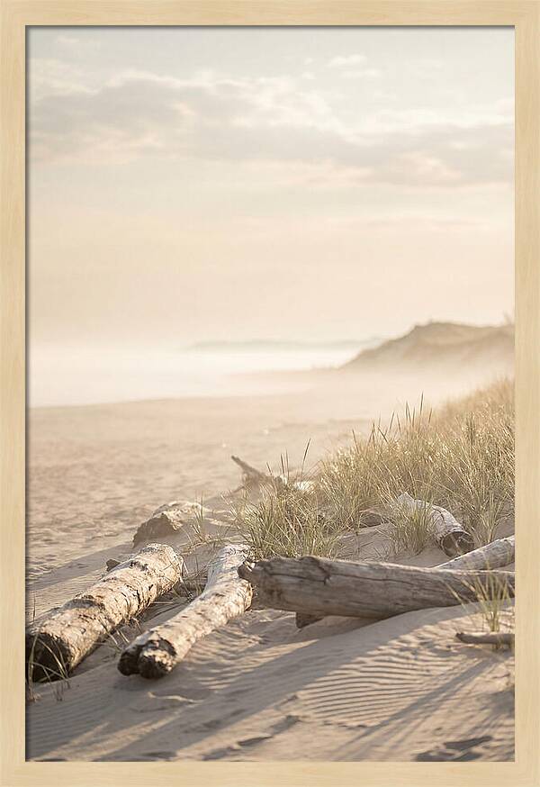 Morning Serenity At Indiana Dunes