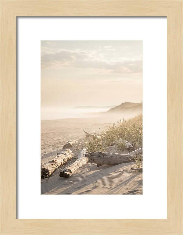 Morning Serenity At Indiana Dunes