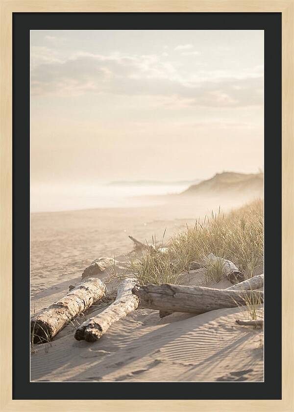 Morning Serenity At Indiana Dunes