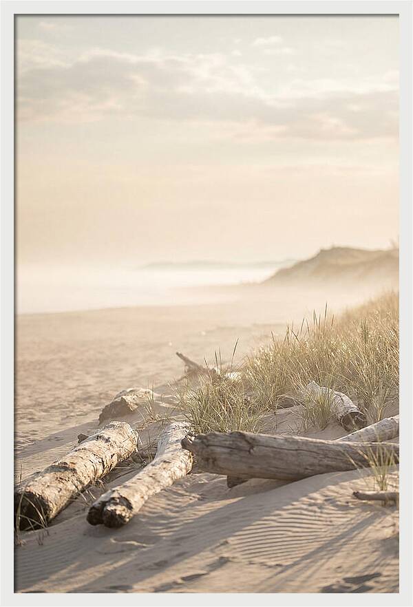 Morning Serenity At Indiana Dunes