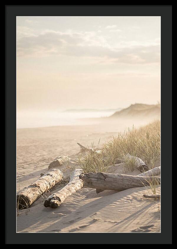 Morning Serenity At Indiana Dunes