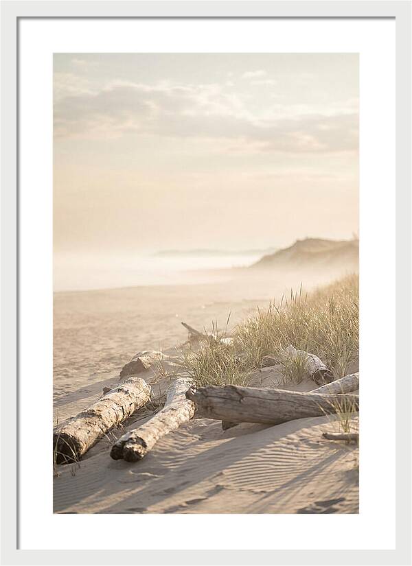 Morning Serenity At Indiana Dunes