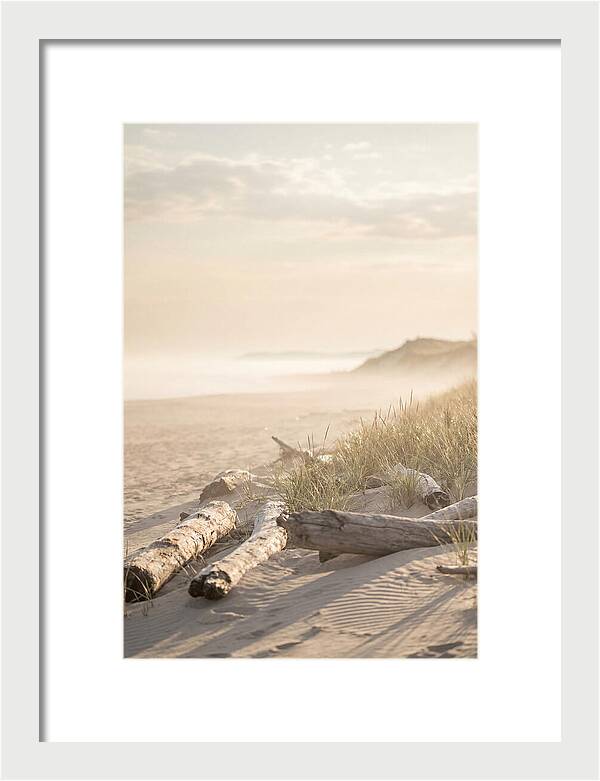 Morning Serenity At Indiana Dunes