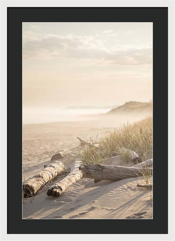 Morning Serenity At Indiana Dunes