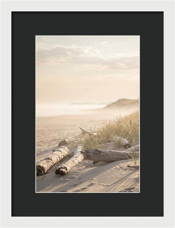 Morning Serenity At Indiana Dunes