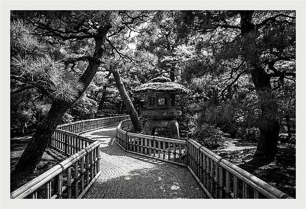 Moss Covered Stone Lantern