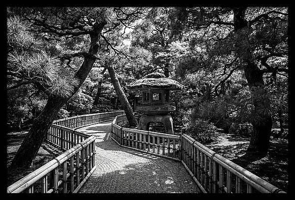 Moss Covered Stone Lantern