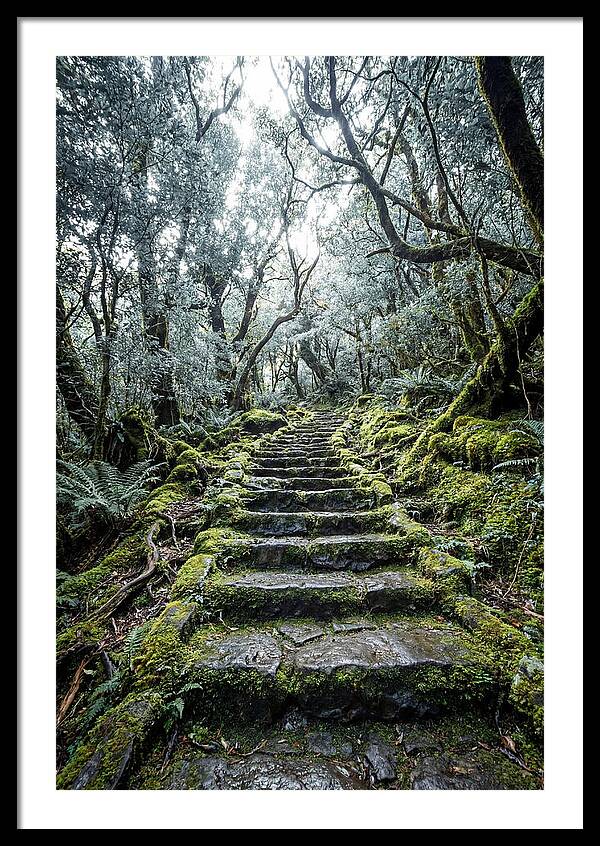 Enchanted Art