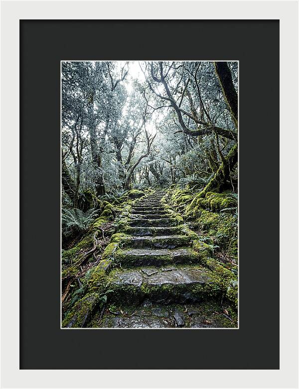 Moss Covered Stone Stairs