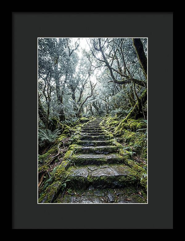 Moss Covered Stone Stairs