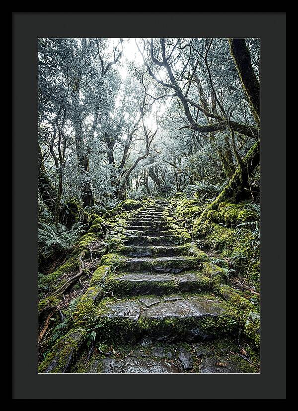 Moss Covered Stone Stairs
