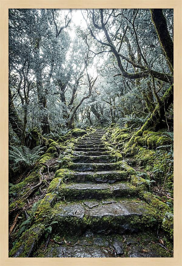 Moss Covered Stone Stairs