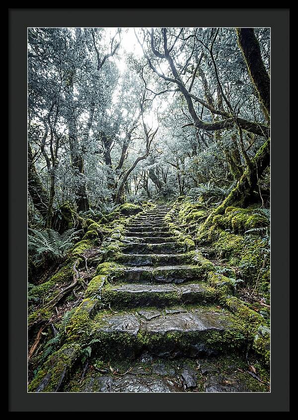 Moss Covered Stone Stairs
