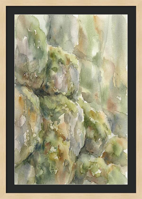 Moss Covered Stones