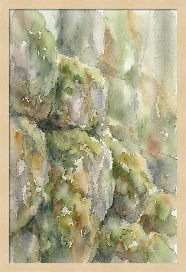 Moss Covered Stones