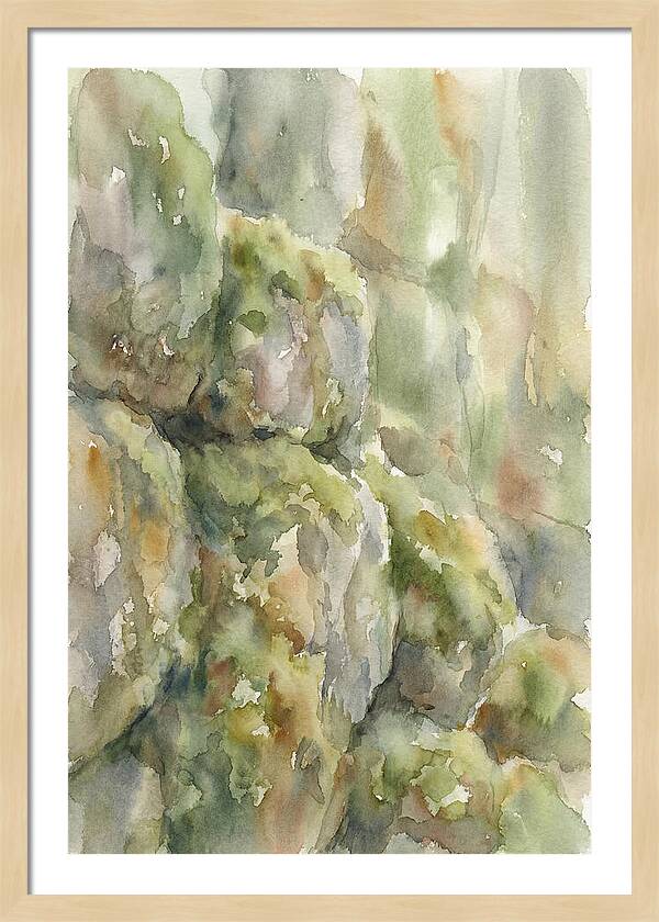 Moss Covered Stones