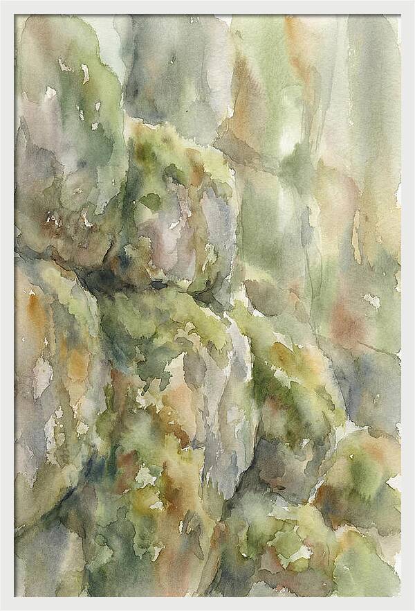 Moss Covered Stones